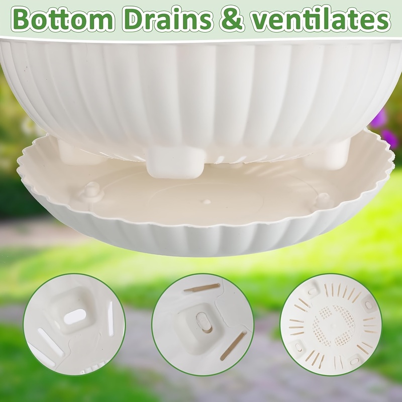 Large Hanging Flower Pots for  - Spider Plant Hanging ulasan dan harga